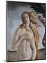 Detail of Birth of Venus-Sandro Botticelli-Mounted Premium Giclee Print