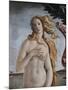 Detail of Birth of Venus-Sandro Botticelli-Mounted Giclee Print