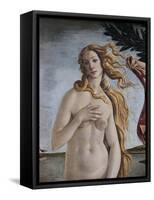 Detail of Birth of Venus-Sandro Botticelli-Framed Stretched Canvas