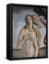 Detail of Birth of Venus-Sandro Botticelli-Framed Stretched Canvas