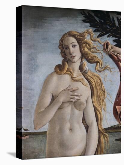 Detail of Birth of Venus-Sandro Botticelli-Stretched Canvas