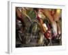 Detail of Blurred Cycling Action-Chris Trotman-Framed Photographic Print