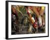 Detail of Blurred Cycling Action-Chris Trotman-Framed Photographic Print