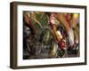 Detail of Blurred Cycling Action-Chris Trotman-Framed Photographic Print