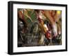 Detail of Blurred Cycling Action-Chris Trotman-Framed Photographic Print