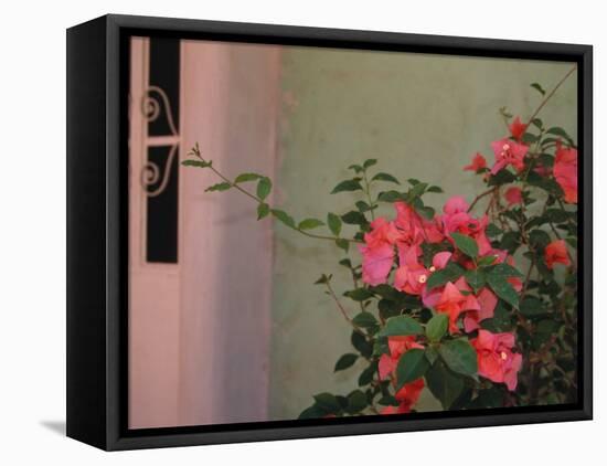 Detail of Bougenvilla in Bloom, Puerto Vallarta, Mexico-Merrill Images-Framed Stretched Canvas