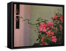 Detail of Bougenvilla in Bloom, Puerto Vallarta, Mexico-Merrill Images-Framed Stretched Canvas