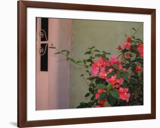 Detail of Bougenvilla in Bloom, Puerto Vallarta, Mexico-Merrill Images-Framed Photographic Print