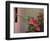 Detail of Bougenvilla in Bloom, Puerto Vallarta, Mexico-Merrill Images-Framed Photographic Print