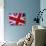 Detail of British Flag-null-Photographic Print displayed on a wall