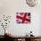 Detail of British Flag-null-Mounted Photographic Print displayed on a wall