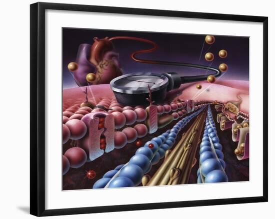 Detail of Cardiac Muscle with Blood Pressure Meter-null-Framed Art Print