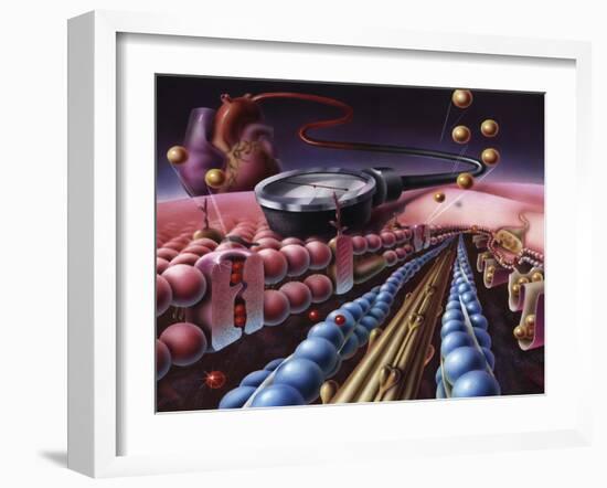 Detail of Cardiac Muscle with Blood Pressure Meter-null-Framed Art Print