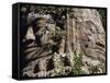 Detail of Carved Faces at Baray Temple, Angkor Wat, Cambodia-Mark Hannaford-Framed Stretched Canvas