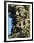 Detail of Carved Faces at Baray Temple, Angkor Wat, Cambodia-Mark Hannaford-Framed Photographic Print