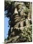 Detail of Carved Faces at Baray Temple, Angkor Wat, Cambodia-Mark Hannaford-Mounted Photographic Print