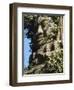 Detail of Carved Faces at Baray Temple, Angkor Wat, Cambodia-Mark Hannaford-Framed Photographic Print