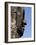 Detail of Carving, Angkor Wat Archaeological Park, Siem Reap, Cambodia, Indochina, Southeast Asia-Julio Etchart-Framed Photographic Print