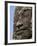 Detail of Carving, Angkor Wat Archaeological Park, Siem Reap, Cambodia, Indochina, Southeast Asia-Julio Etchart-Framed Photographic Print