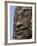 Detail of Carving, Angkor Wat Archaeological Park, Siem Reap, Cambodia, Indochina, Southeast Asia-Julio Etchart-Framed Photographic Print