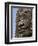 Detail of Carving, Angkor Wat Archaeological Park, Siem Reap, Cambodia, Indochina, Southeast Asia-Julio Etchart-Framed Photographic Print