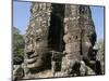 Detail of Carving, Angkor Wat Archaeological Park, Siem Reap, Cambodia, Indochina, Southeast Asia-Julio Etchart-Mounted Photographic Print