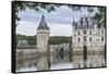 Detail of Chenonceau castle, UNESCO World Heritage Site, Chenonceaux, Indre-et-Loire, Centre, Franc-Francesco Vaninetti-Framed Stretched Canvas