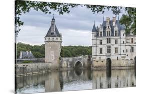 Detail of Chenonceau castle, UNESCO World Heritage Site, Chenonceaux, Indre-et-Loire, Centre, Franc-Francesco Vaninetti-Stretched Canvas