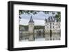 Detail of Chenonceau castle, UNESCO World Heritage Site, Chenonceaux, Indre-et-Loire, Centre, Franc-Francesco Vaninetti-Framed Photographic Print