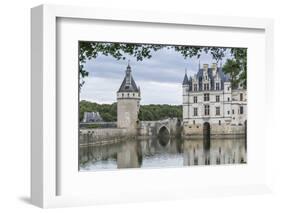 Detail of Chenonceau castle, UNESCO World Heritage Site, Chenonceaux, Indre-et-Loire, Centre, Franc-Francesco Vaninetti-Framed Photographic Print