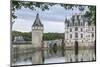 Detail of Chenonceau castle, UNESCO World Heritage Site, Chenonceaux, Indre-et-Loire, Centre, Franc-Francesco Vaninetti-Mounted Photographic Print