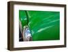 Detail of classic green American GMC truck in Trinidad, Cuba-Janis Miglavs-Framed Photographic Print