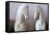 Detail of Classical Greek Marble Horses-Chris Hellier-Framed Stretched Canvas