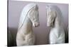 Detail of Classical Greek Marble Horses-Chris Hellier-Stretched Canvas