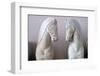 Detail of Classical Greek Marble Horses-Chris Hellier-Framed Photographic Print