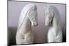 Detail of Classical Greek Marble Horses-Chris Hellier-Mounted Photographic Print