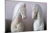 Detail of Classical Greek Marble Horses-Chris Hellier-Mounted Photographic Print