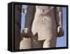 Detail of Colossal Statue of Pharaoh with Cartouche of Court of Ramses II-null-Framed Stretched Canvas