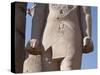 Detail of Colossal Statue of Pharaoh with Cartouche of Court of Ramses II-null-Stretched Canvas