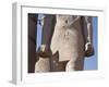 Detail of Colossal Statue of Pharaoh with Cartouche of Court of Ramses II-null-Framed Giclee Print