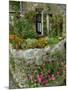 Detail of Cottage and Garden, Yorkshire, England, United Kingdom, Europe-Woolfitt Adam-Mounted Photographic Print