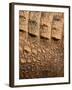 Detail of Crocodile Skin, Australia-David Wall-Framed Photographic Print