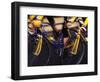 Detail of Cyclist Competing in Road Race-Paul Sutton-Framed Photographic Print