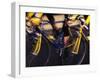 Detail of Cyclist Competing in Road Race-Paul Sutton-Framed Photographic Print