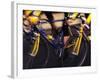 Detail of Cyclist Competing in Road Race-Paul Sutton-Framed Photographic Print