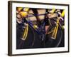 Detail of Cyclist Competing in Road Race-Paul Sutton-Framed Photographic Print