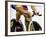 Detail of Cyclist Racing on the Velodrome Track, Athens, Greece-Paul Sutton-Framed Photographic Print