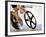 Detail of Cyclist Racing on the Velodrome Track, Athens, Greece-Paul Sutton-Framed Photographic Print