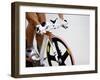 Detail of Cyclist Racing on the Velodrome Track, Athens, Greece-Paul Sutton-Framed Photographic Print