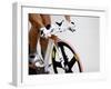 Detail of Cyclist Racing on the Velodrome Track, Athens, Greece-Paul Sutton-Framed Photographic Print